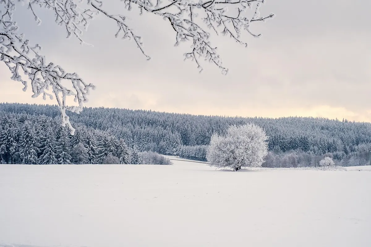 Winter Field Recording in the UK: Keeping Your Signal Chain Clean in Cold and Damp